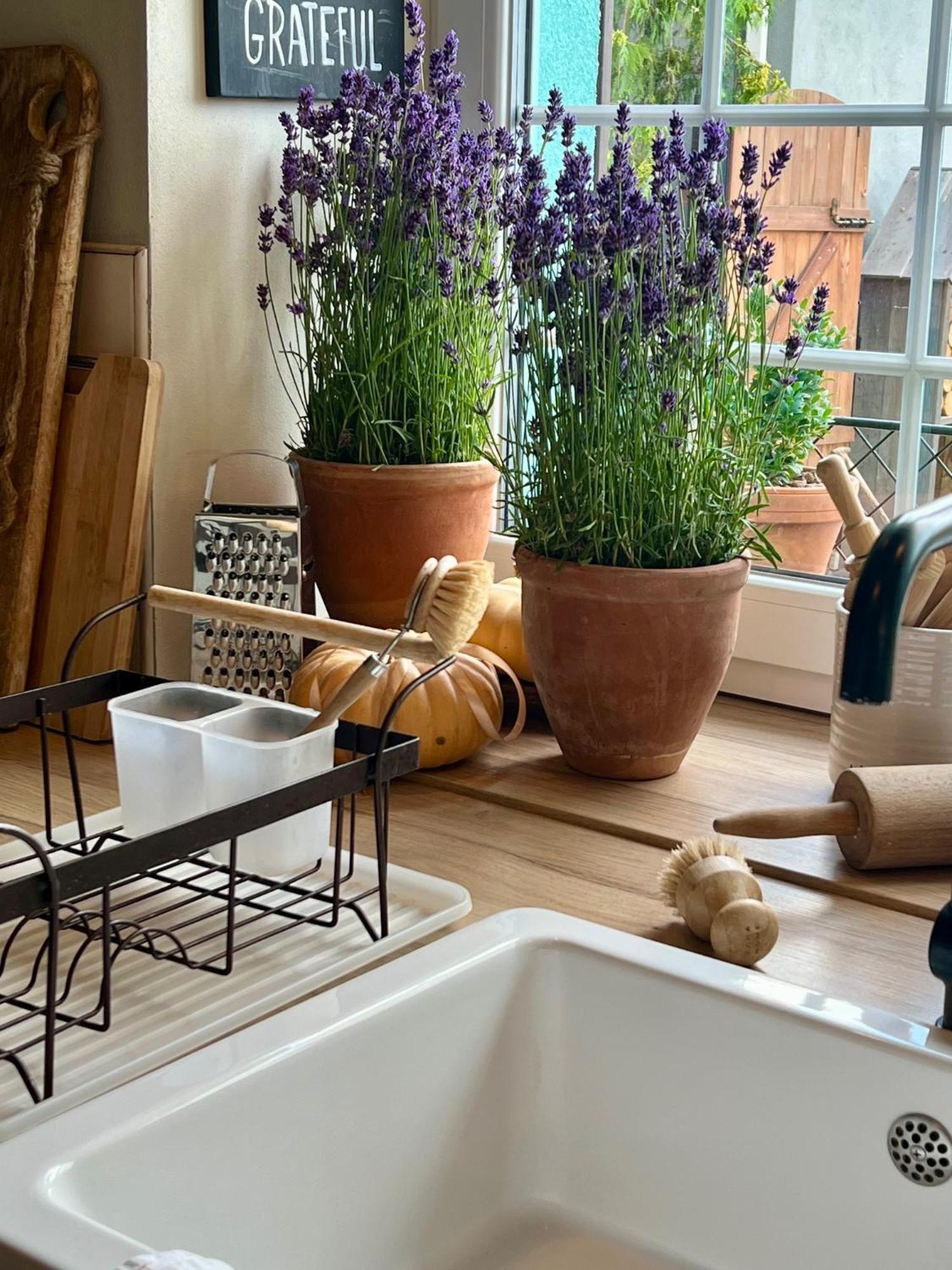 Orchardhouse Farmhouse, Wellness Chrast  Екстер'єр фото