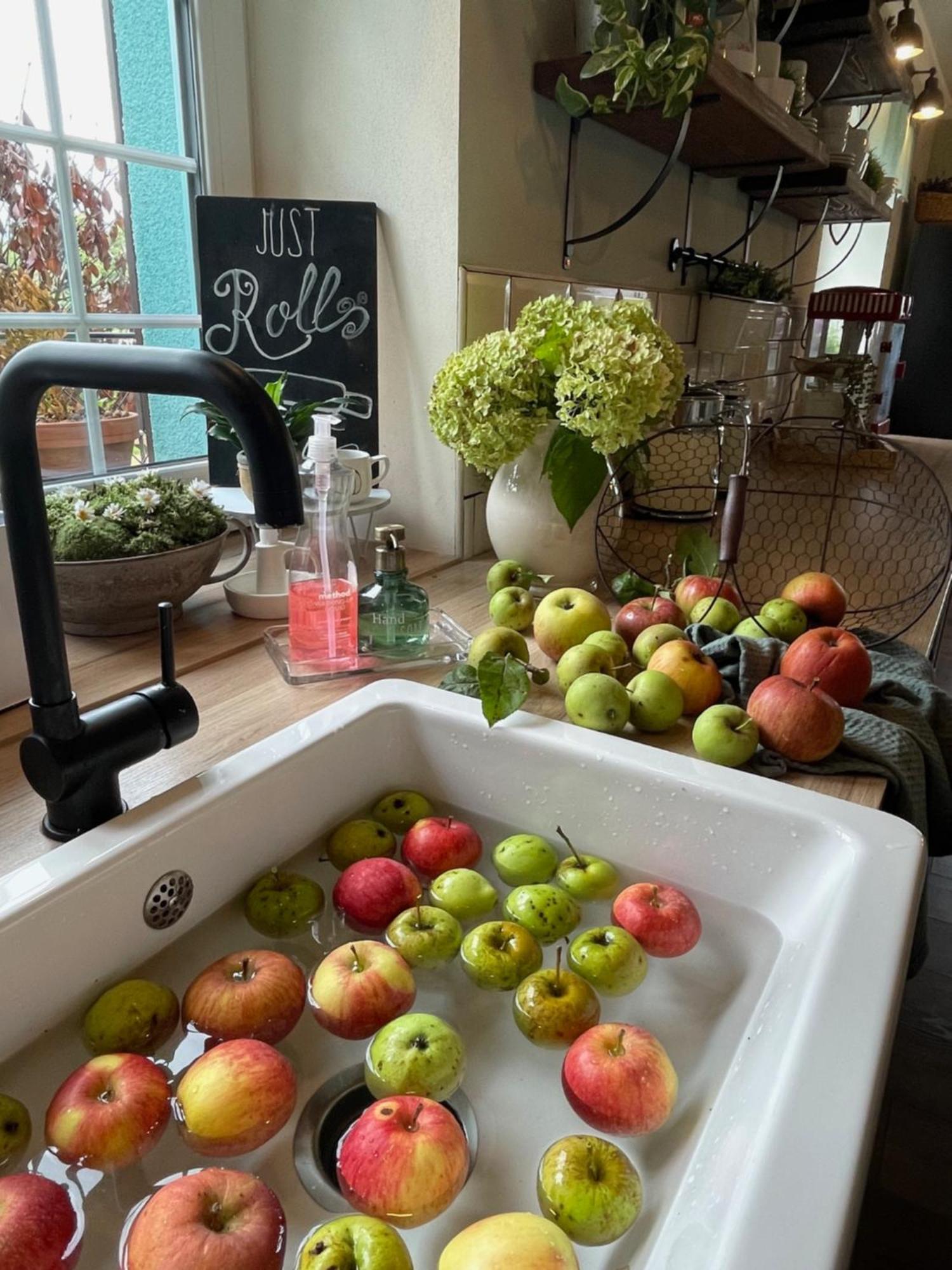 Orchardhouse Farmhouse, Wellness Chrast  Екстер'єр фото